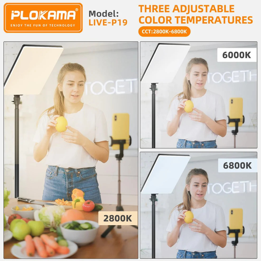 Led Fill Light: Live P-24