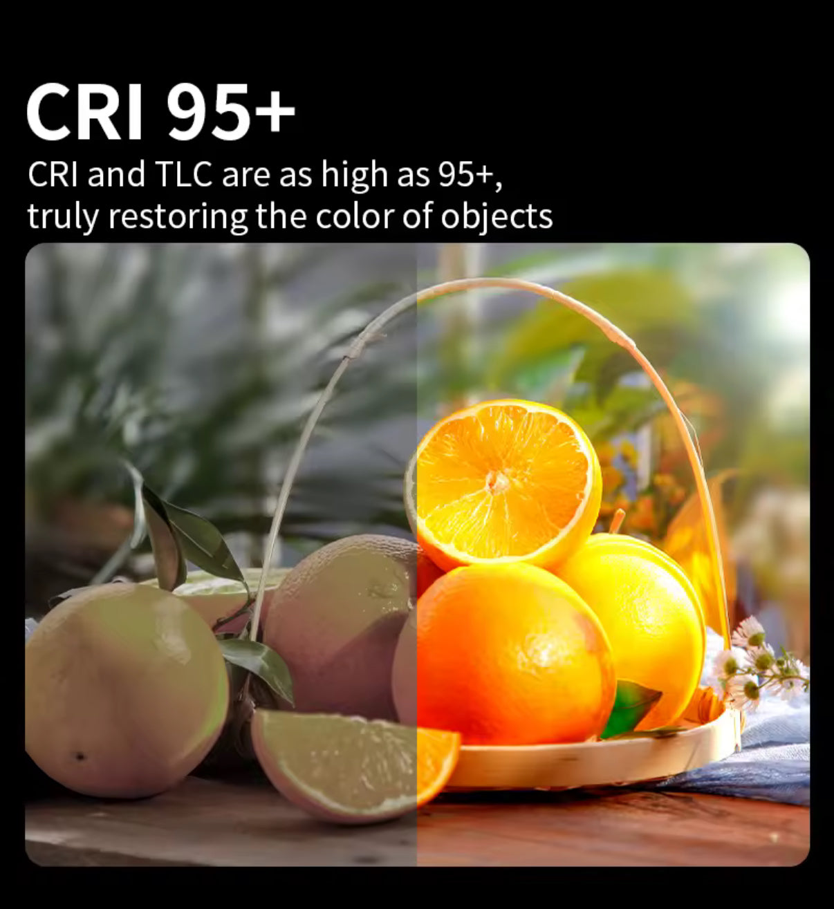 M18 RGB