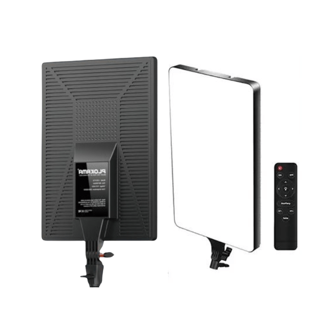 Led Fill Light: Live P-24