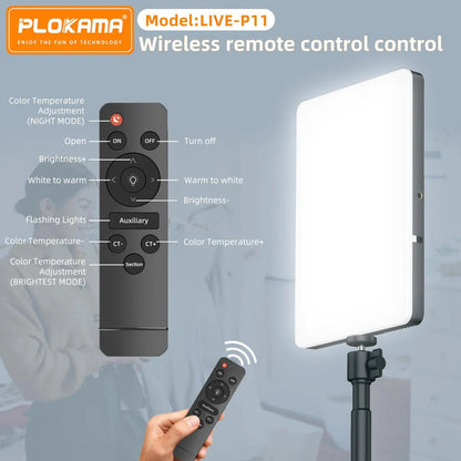 Led Fill Light: Live P-24