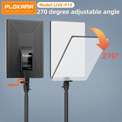 Led Fill Light: Live P-24