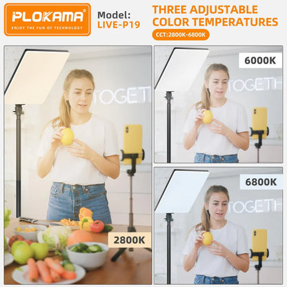Led Fill Light: Live P-24